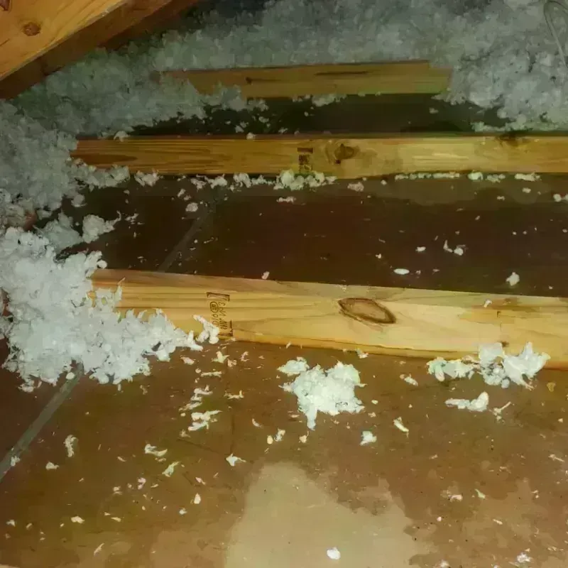 Attic Water Damage in El Verano, CA