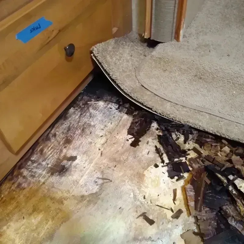 Wood Floor Water Damage in El Verano, CA